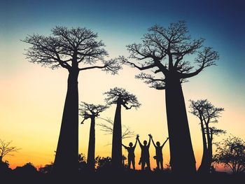 Silhouette trees against sky during sunset