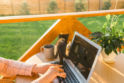 Midsection of woman using laptop