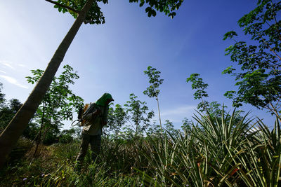 Rear view of woman against trees on field