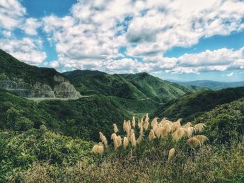 Scenic view of field and mountains against sky