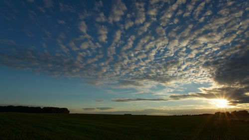 Scenic view of field against sky during sunset