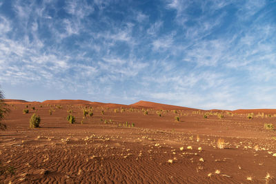 View from nature and landscapes of dasht e lut or sahara desert. middle east desert