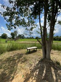 Bench on field by trees against sky