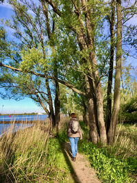 Rear view of woman with back-pack walking along a riverbank with trees under blue sky
