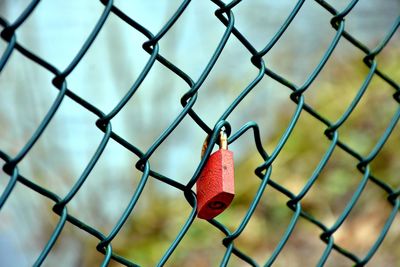 Close-up of padlock on chainlink fence