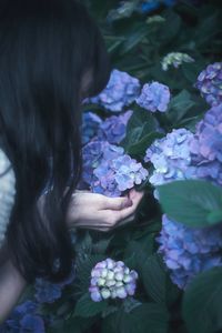 High angle view of purple flowering plants