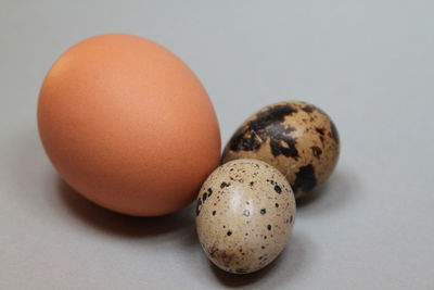 Close-up of eggs against white background
