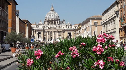 View of flowering plants in front of building