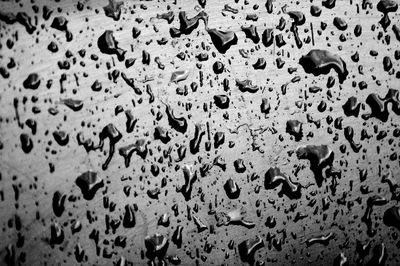 Full frame shot of water drops on wall