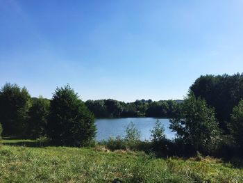 Scenic view of lake in forest against clear sky