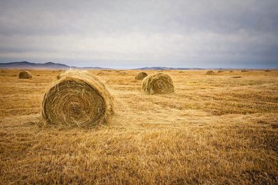 Hay bales on landscape against the sky