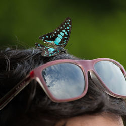 Close-up of butterfly on sunglasses