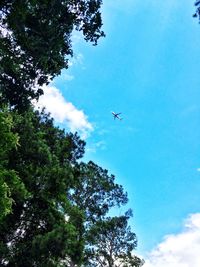 Low angle view of airplane flying in sky