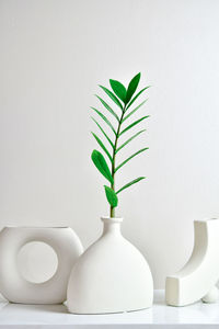 Close-up of plant in vase against white wall