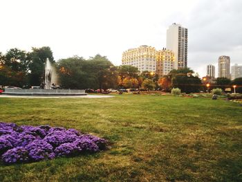 Scenic view of park by buildings against sky