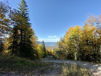 Road amidst trees against sky during autumn