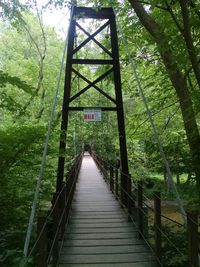 Footbridge in forest