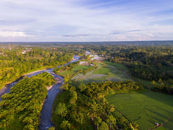 environment