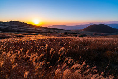 Scenic view of field against sky during sunset