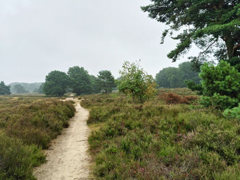 Trail amidst trees on field against sky