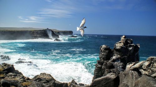 Scenic view of sea against clear blue sky