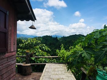 Plants and trees by building against sky