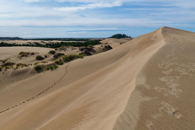 Deserted sand dunes in oregon