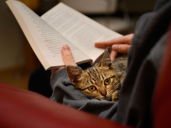 Midsection of person holding cat on book