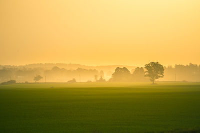 A minimalist landscape of a misty sunrise in summer with a far horizon. summertime scenery.