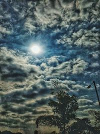 Low angle view of palm trees against sky