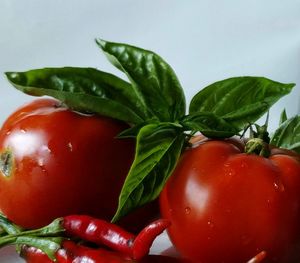 Close-up of tomatoes and vegetables