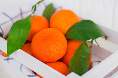 Close-up of orange fruits on table