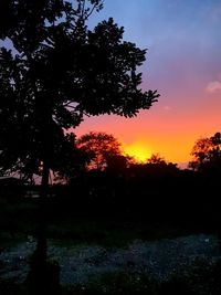 Silhouette trees on field against sky during sunset