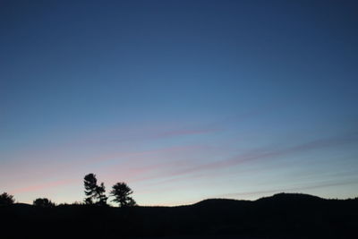 Silhouette of trees against sky at sunset