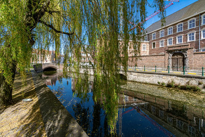 Canal amidst trees and buildings in city