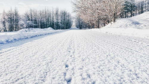 Snow covered field against sky