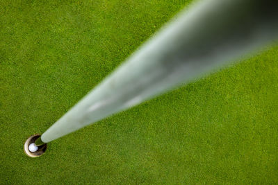 High angle view of green plant on field