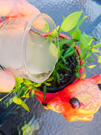 High angle view of drink in water