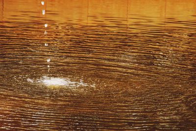 Full frame shot of rippled water