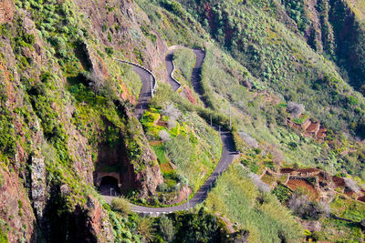 High angle view of winding road amidst plants