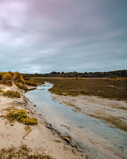 Scenic view of beach against sky