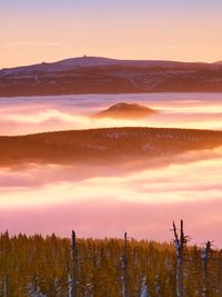 Highest hills above inverse mist. misty valley in winter mountains. peaks sticking above creamy mist