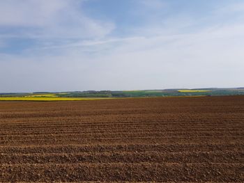 Scenic view of agricultural field against sky