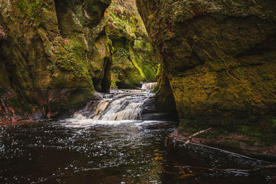 Scenic view of waterfall in forest