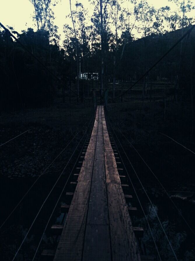 RAILROAD TRACKS AMIDST TREES AGAINST SKY