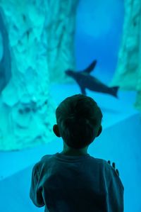 Rear view of boy looking at fish in aquarium