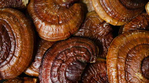 Full frame shot of onions