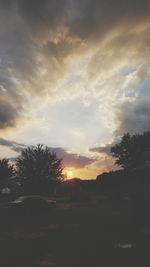 Silhouette trees against sky during sunset