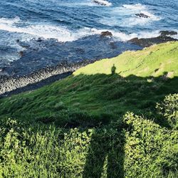 High angle view of sea shore