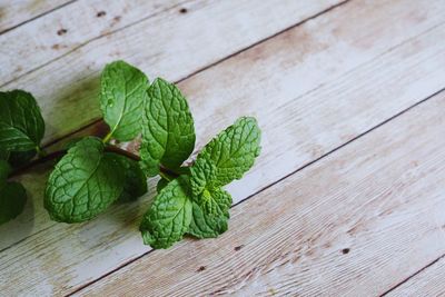 High angle view of leaves on table